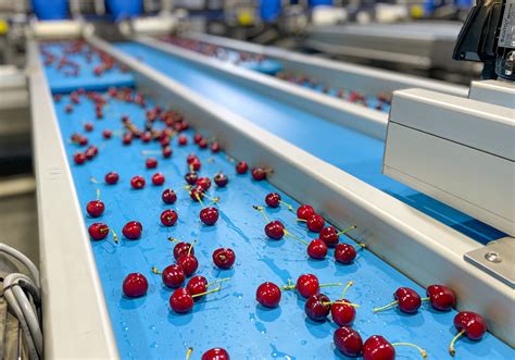 cherry sorting machine|GP Graders .